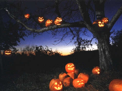 Beech-Tree-Rowley-Regis-Halloween-Night